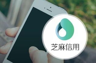 芝麻信用推出“靈芝”系統(tǒng)，以企業(yè)級(jí)征信服務(wù)賦能商業(yè)生態(tài)